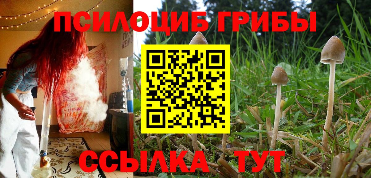 Псилоцибиновые грибы Magic Shrooms Волгодонск